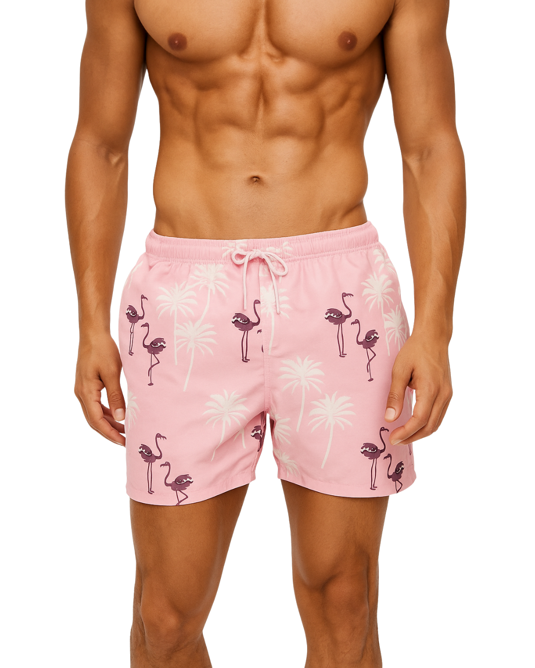 Flamingo SwimShort