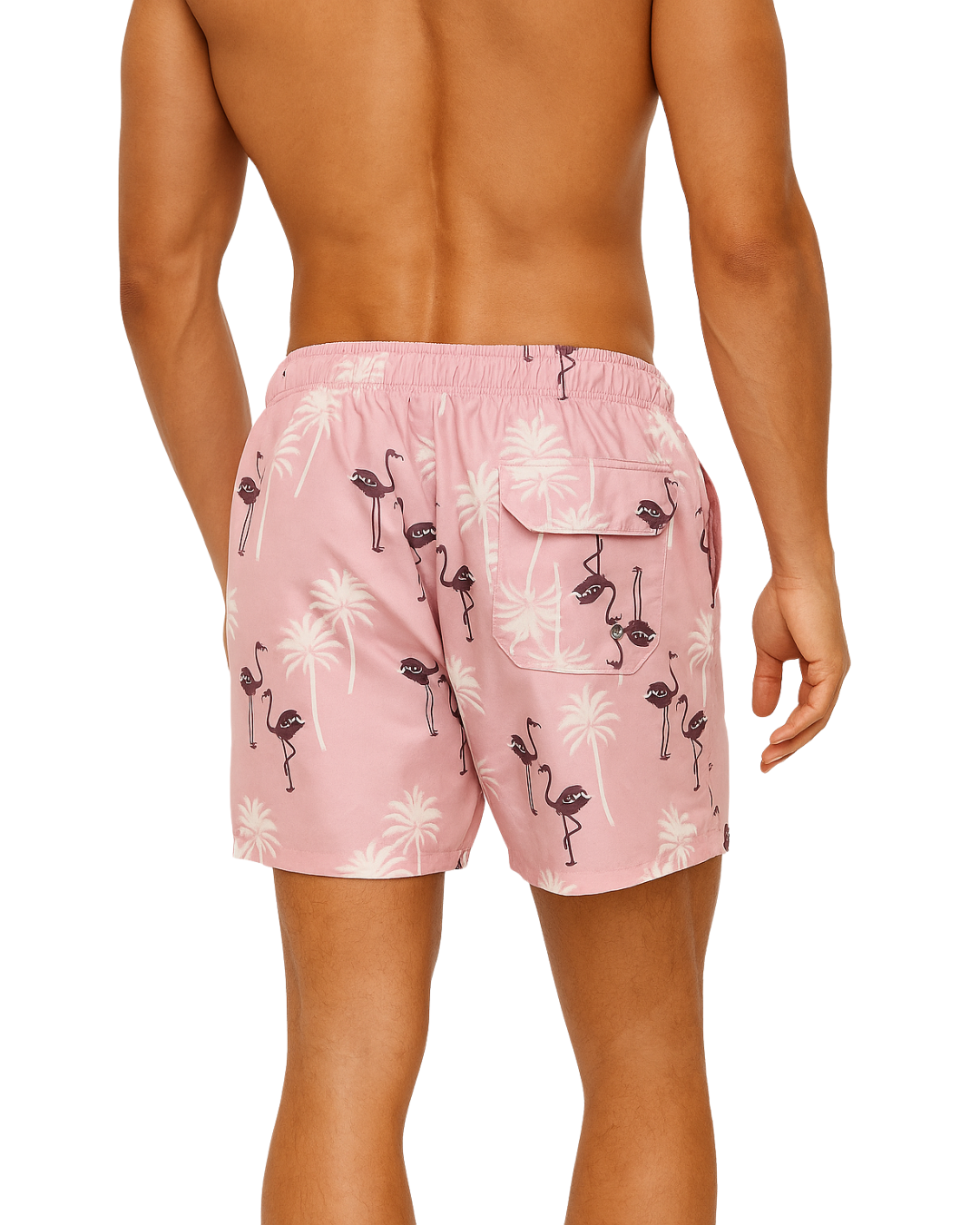 Flamingo SwimShort