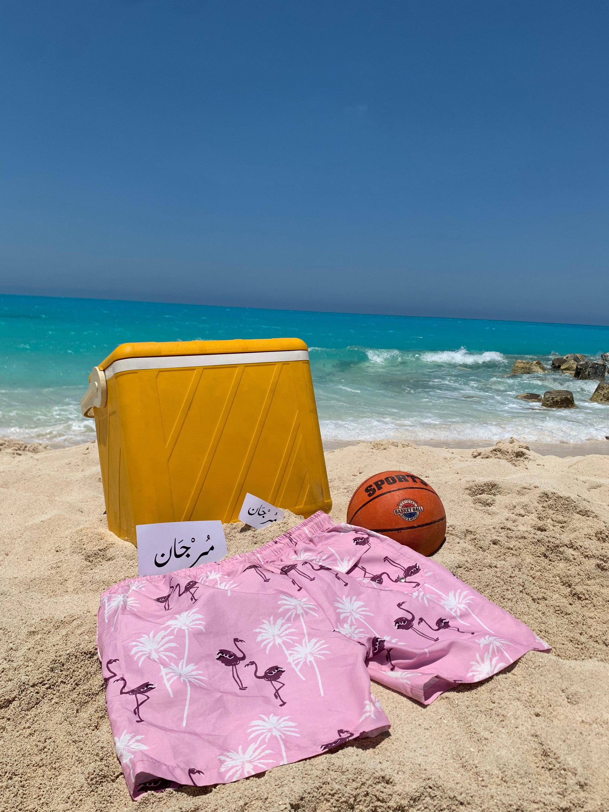 Flamingo SwimShort